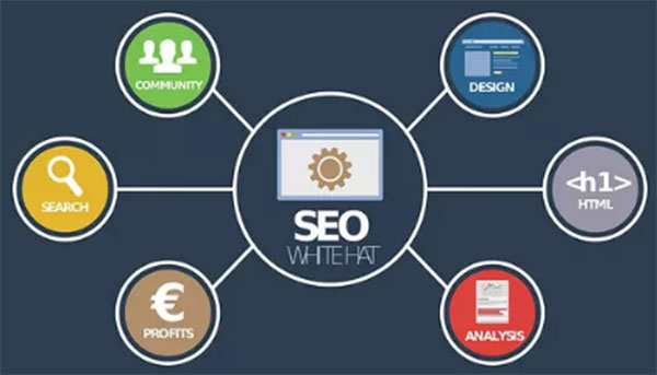 SEO、優(yōu)化、網(wǎng)站優(yōu)化